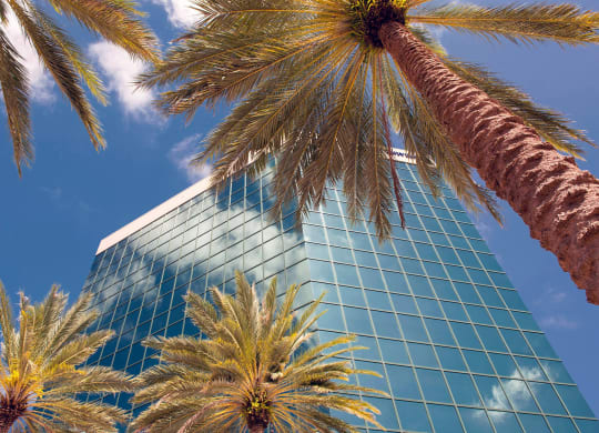 Downtown Ft Lauderdale