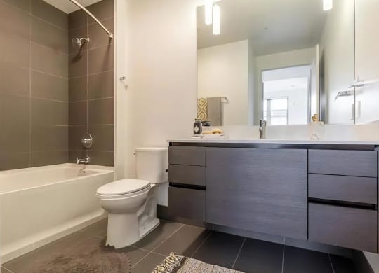 Luxurious Bathrooms with Large Showers