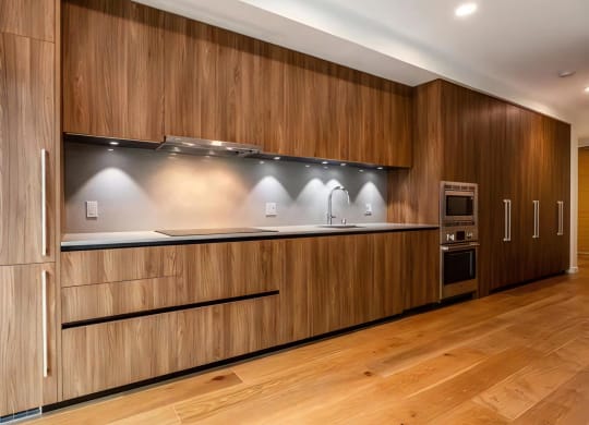 Penthouse Kitchen