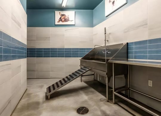 Pet Grooming Station and Spa for Pets