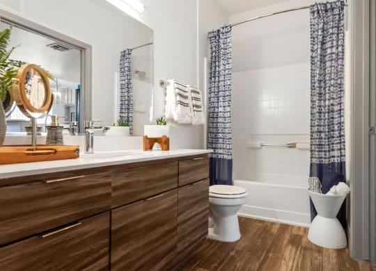 Luxury Bathrooms with Oversized Soaking Tubs
