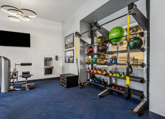Fitness Studio with Exercise Equipment