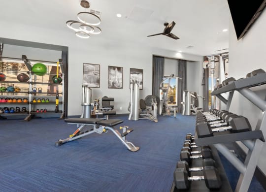 Fitness Studio with Free Weights