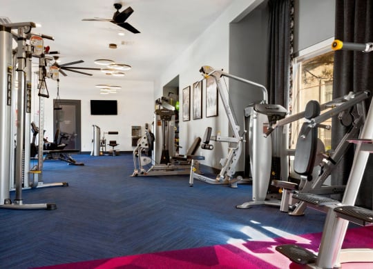 Fitness Studio with Cardio and Strength Training Machines