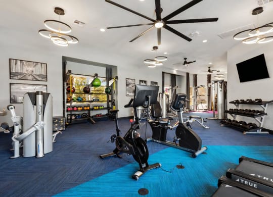Fitness Studio with Cardio Machine and Exercise Equipment