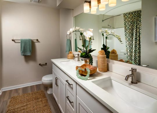 Seacrest Bathroom Modern Double Bath Vanities