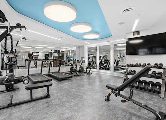 A gym with a variety of equipment including treadmills, weights, and exercise machines.