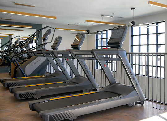 Multiple treadmills and elliptical with stair stepper at Novel Cary
