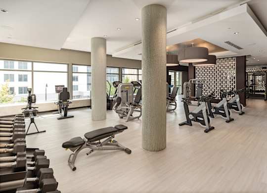 Modern Gym Featuring Free Weights and Cardio Zone in Light Wood Aesthetic