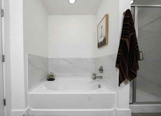 Spa-Inspired Bathroom with Deep Soaking Tub and Modern Fixtures