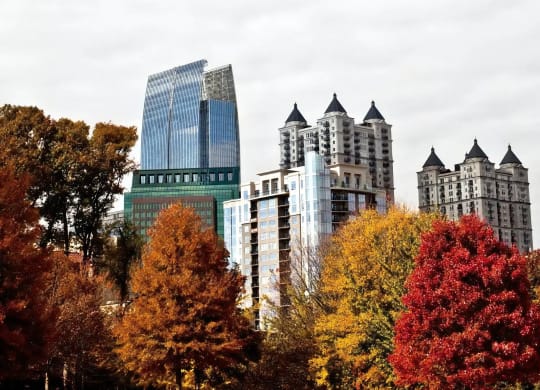 Trees in Fall Colors Framing Midtown Atlanta Residential and Office Towers
