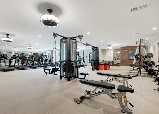 Fully Equipped Fitness Center with Treadmills, Ellipticals, and Free Weights