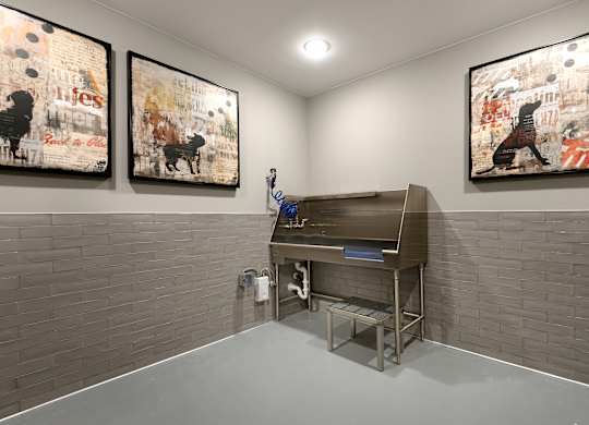 Pet Grooming Station with Stainless Steel Tub and Built-In Dryer Hose