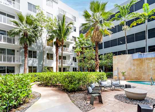A pool surrounded by palm trees and chairs.