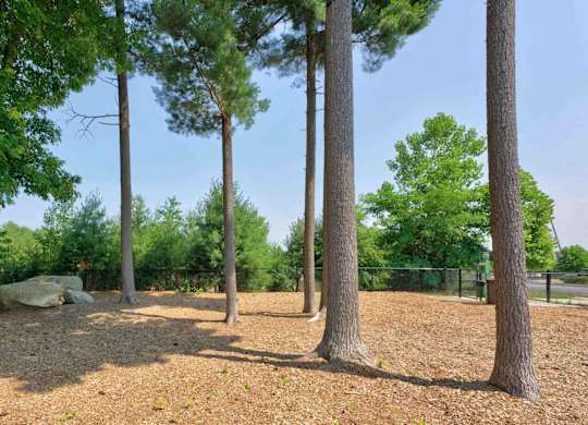 Wooded dog park with tall trees, mulch, boulders, and perimeter fencing.