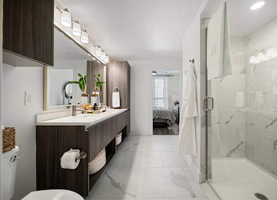 Spa-inspired bathroom with dual vanity, quartz counters, and a walk-in glass shower