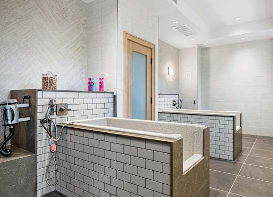 Modern pet washing room with elevated grooming tubs and durable tile finishes