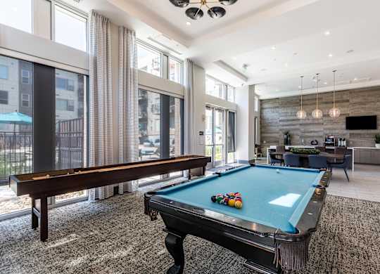 Pool Table and Shuffleboard
