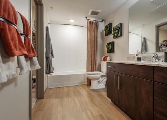 Spacious Bathroom with Cabinet Storage