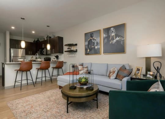 Connected Kitchen and Living Spaces