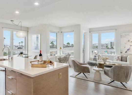 Open Concept Floor Plans with Windows