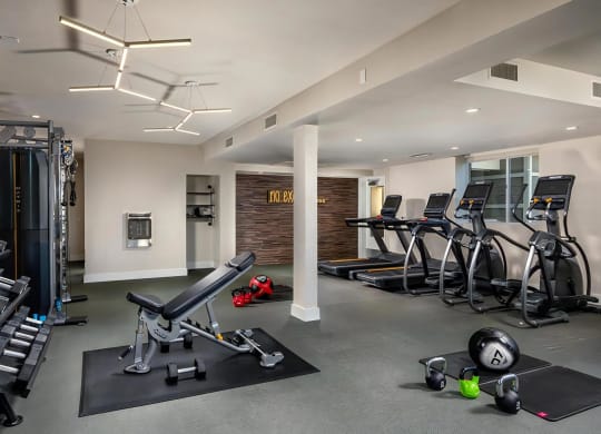 Venice on Rose Community Fitness Fitness studio with Cardio Equipment