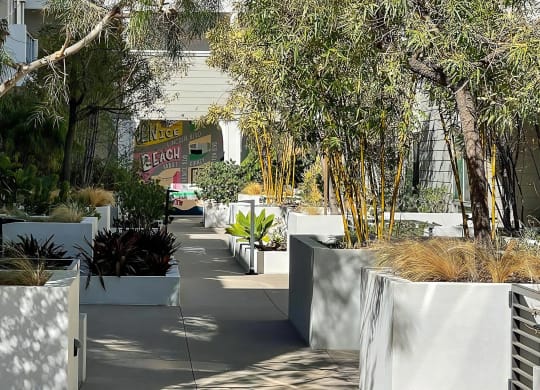 Venice on Rose Community Outdoors Outdoor Courtyard with Mural