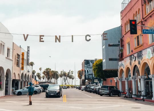 Venice on Rose Neighborhood Downtown Venice