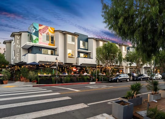 Venice on Rose Neighborhood Local Entertainment Enjoy a Diverse Active Neighborhood with a Variety of Cultural Entertainment Options and Events