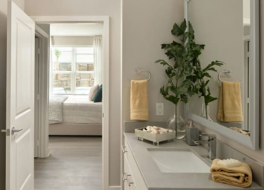 Contemporary Master Bathroom with Sleek Vanity and Modern Fixtures