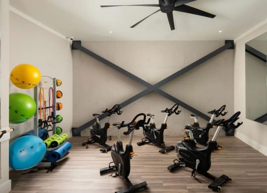Fitness Studio with Cardio Equipment
