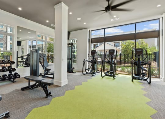 Fitness Studio with Free Weights