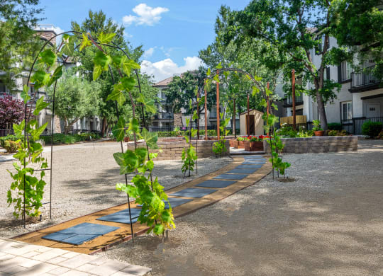 Community Gardening Area with Curved Walkway Surrounded by Garden Beds