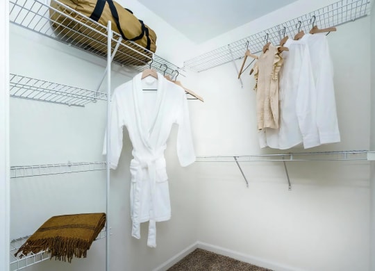 Carpeted Closet Featuring Organized Storage and Clothing Space