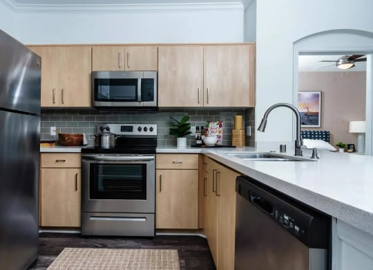Contemporary Kitchen with Light Wood Cabinets and Built-In Microwave