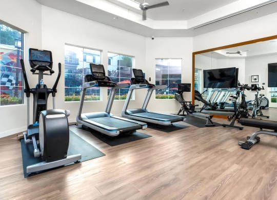 Modern Fitness Studio Featuring Bikes, Treadmills, and Large Mirrors