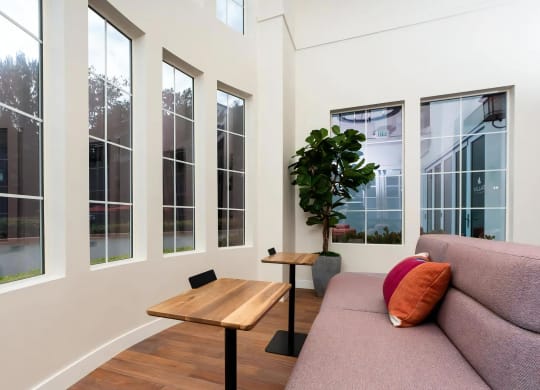 Bright Resident Lounge Overlooking Courtyard Views