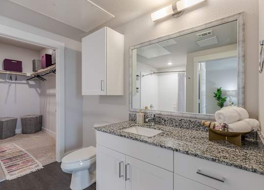 Bathroom With Granite Countertop And Large Mirror