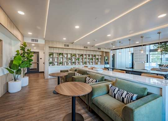 Resident lounge with green velvet sofas, round timber tables and a wall of shelving planted with greenery behind the bar.