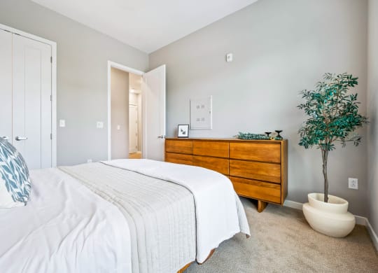 a bedroom with a bed and a dresser and a plant