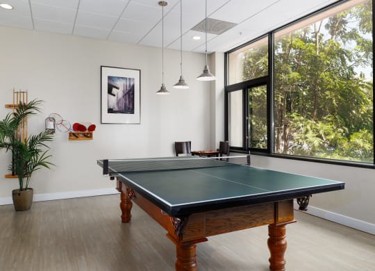 a game room with a pool table and a large window