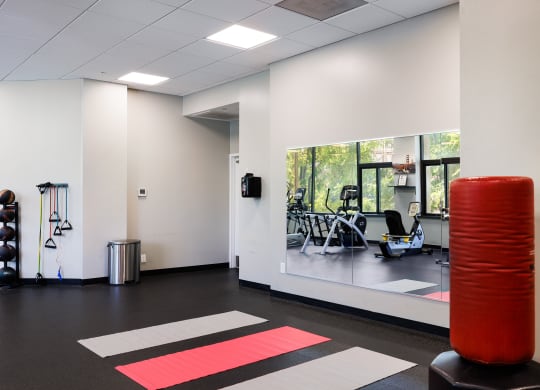 a fitness room with an orange gym ball and other exercise equipment
