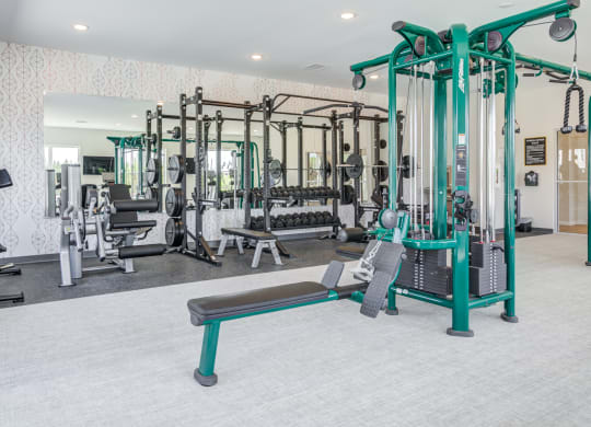 Citrine fitness center with strength and cardio equipment and free weights