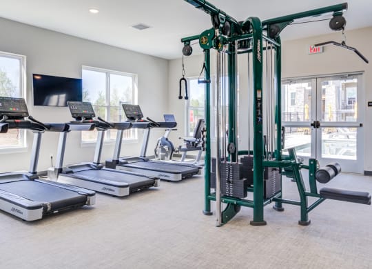 Citrine fitness center with treadmills and strength equipment