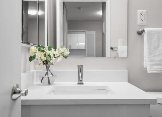 a bathroom with a sink and a mirror
