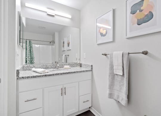 a bathroom with a sink and a mirror and a towel rack