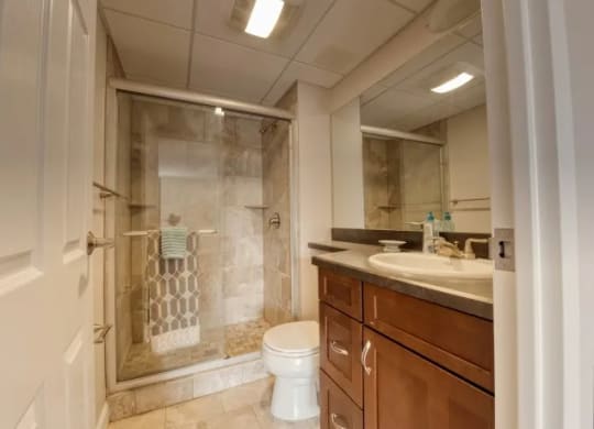 Renovated apartment  bathroom