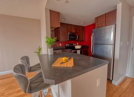 Renovated apartment kitchen