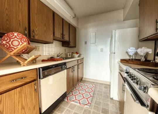 Classic apartment  kitchen