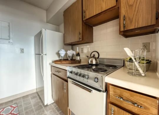 Classic apartment kitchen